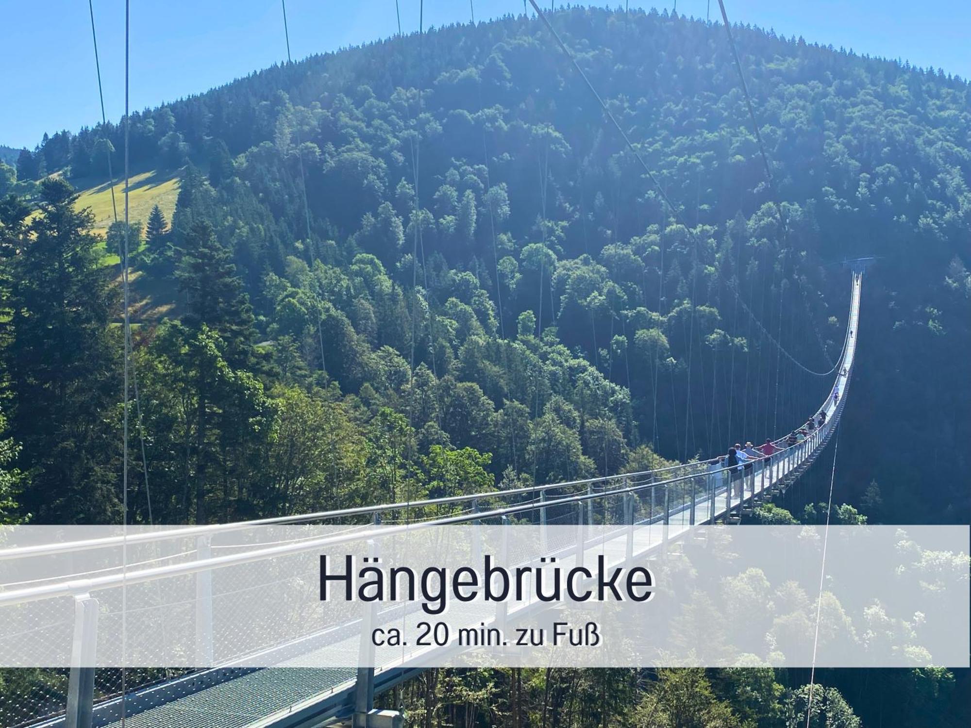 Herzgruen Direkt An Traumhaften Wanderwegen Balkon Mit Toller Aussicht Sauna Im Haus Tiefgarage E-Ladestation Todtnauberg Dış mekan fotoğraf