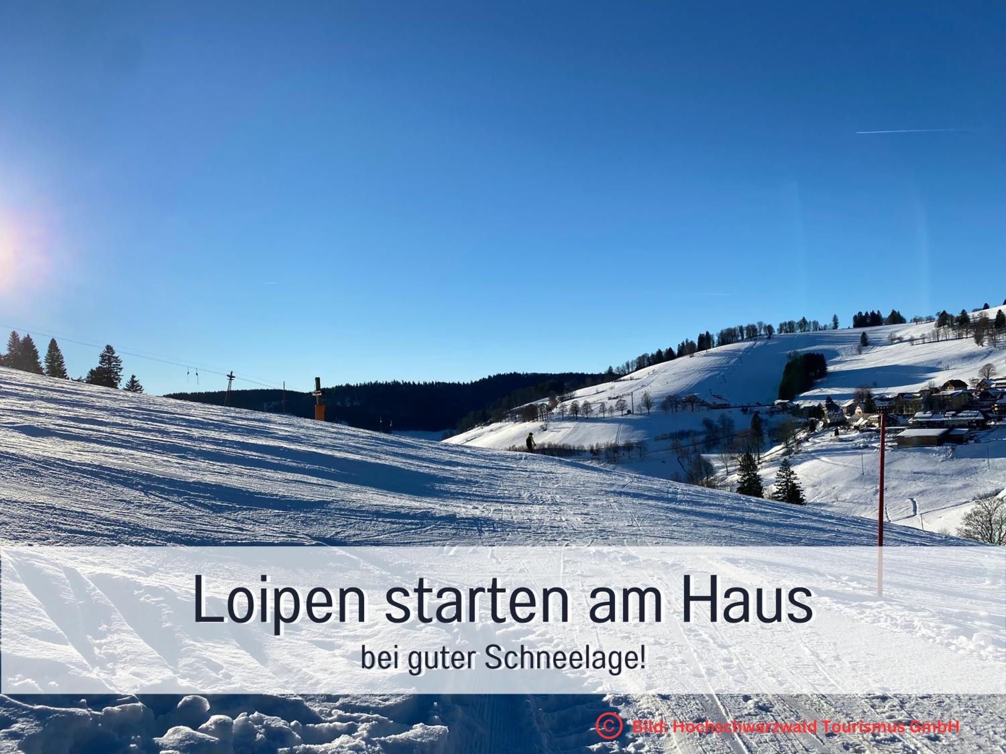 Herzgruen Direkt An Traumhaften Wanderwegen Balkon Mit Toller Aussicht Sauna Im Haus Tiefgarage E-Ladestation Todtnauberg Dış mekan fotoğraf