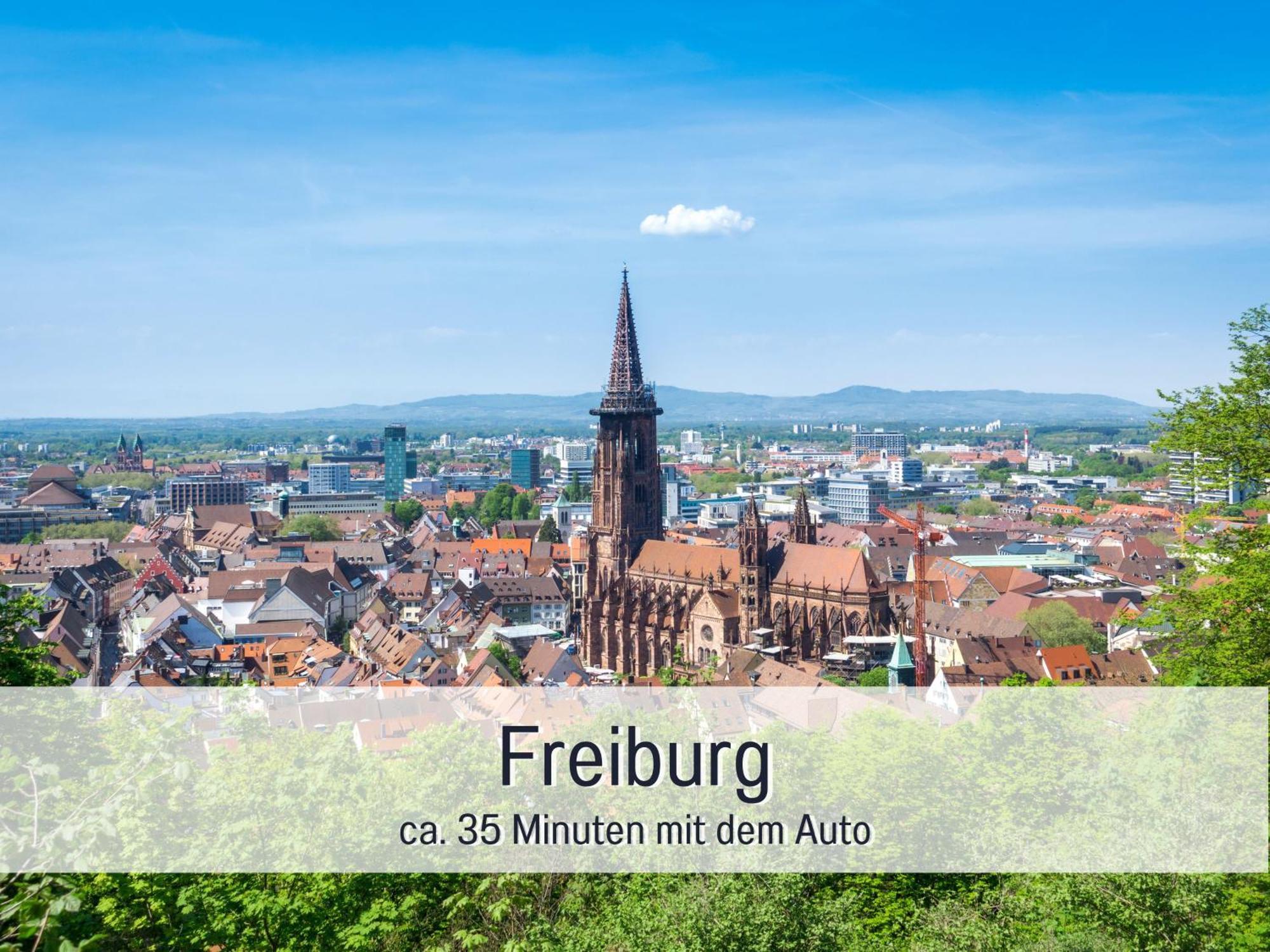 Herzgruen Direkt An Traumhaften Wanderwegen Balkon Mit Toller Aussicht Sauna Im Haus Tiefgarage E-Ladestation Todtnauberg Dış mekan fotoğraf