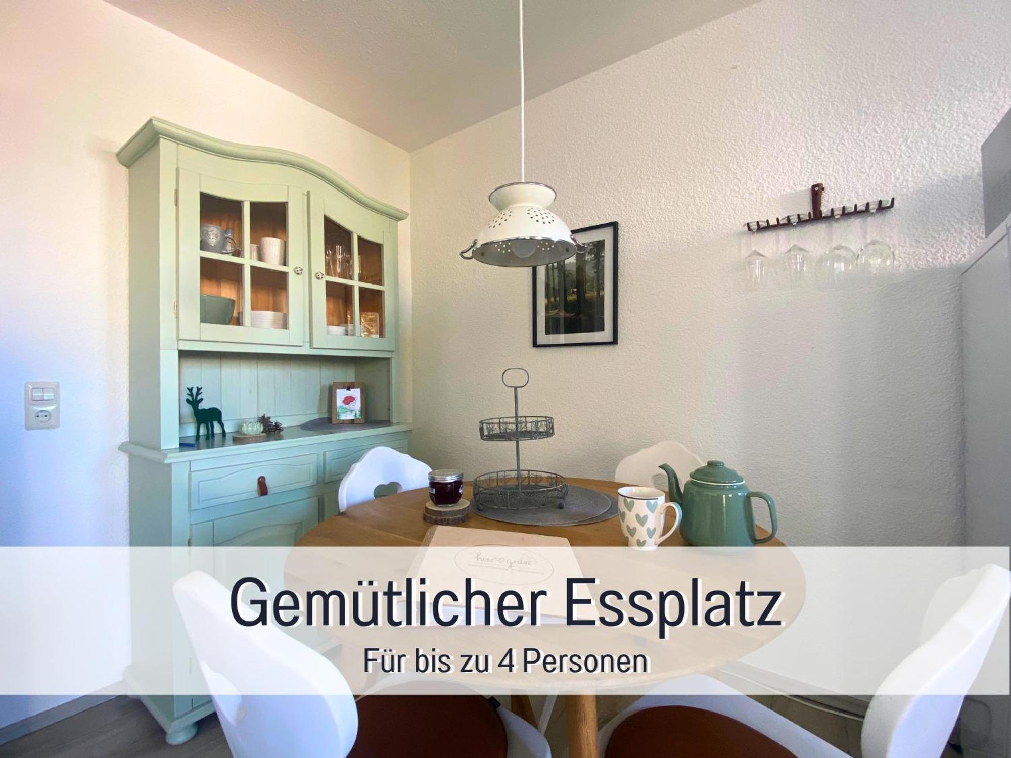 Herzgruen Direkt An Traumhaften Wanderwegen Balkon Mit Toller Aussicht Sauna Im Haus Tiefgarage E-Ladestation Todtnauberg Dış mekan fotoğraf